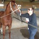 Great to see excited owner David Russo enjoying the win of his horse Entirely Platinum